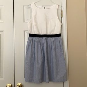 LOFT Outlet Blue Stripe Dress